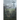 Climate of Chaos