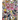 Ernie and the Piranha Club 2009-2010