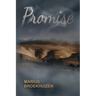 Promise