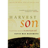 Harvest Son: Planting Roots in American Soil