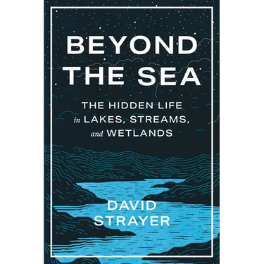 Beyond the Sea: The Hidden Life in Lakes, Streams, and Wetlands