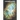 Cosmic Quest