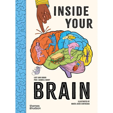 Inside Your Brain: Ten Discoveries That Reveal How the Brain Works