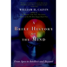 A Brief History of the Mind: From Apes to Intellect and Beyond