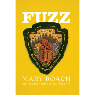 Fuzz: When Nature Breaks the Law