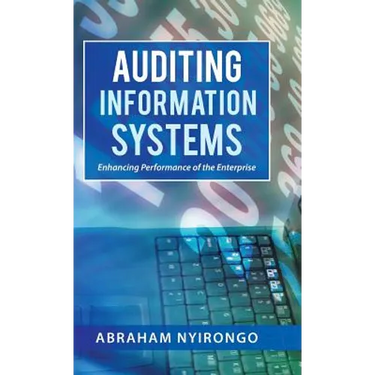 Auditing Information Systems: Enhancing Performance of the Enterprise