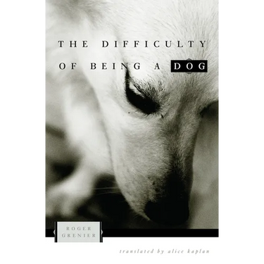 The Difficulty of Being a Dog