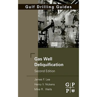 Gas Well Deliquification