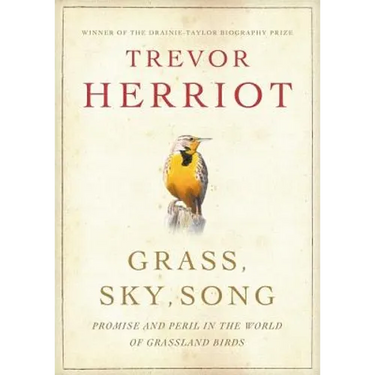 Grass, Sky, Song