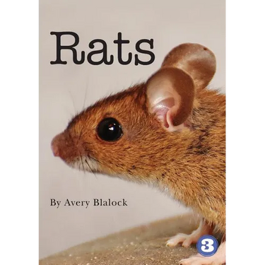 Rats