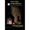 The Fire in Moonlight: Stories from the Radical Faeries 1971 - 2010