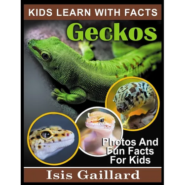 Geckos: Photos and Fun Facts for Kids