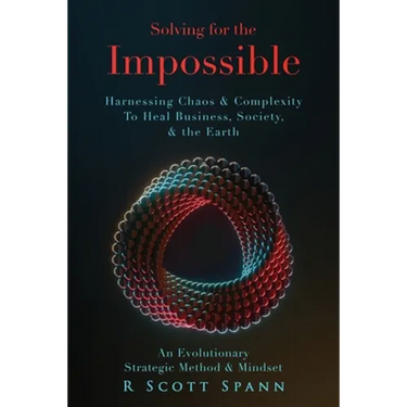 Solving for The Impossible...: Harnessing Chaos & Complexity to Heal Business, Society & the Earth