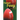 Football Fever