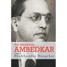The Essential Ambedkar