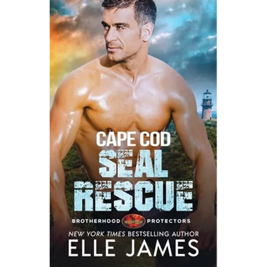 Cape Cod SEAL Rescue