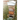 Beekeeping for All
