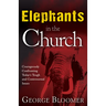 Elephants in the Church: Courageously Confronting Today's Tough and Controversial Issues