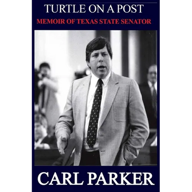 Turtle on a Post