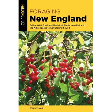 Foraging New England