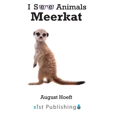 Meerkat
