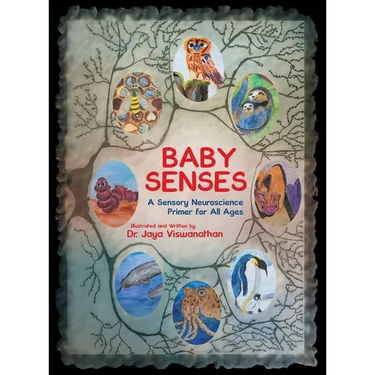Baby Senses: A Sensory Neuroscience Primer for All Ages