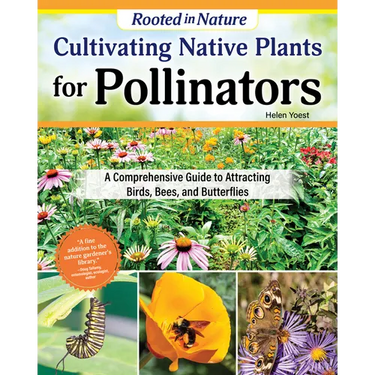 Cultivating Native Plants for Pollinators: A Comprehensive Guide to Attracting Birds, Bees, and Butterflies
