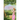 Fairy in the Garden