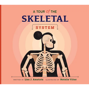 A Tour of the Skeletal System