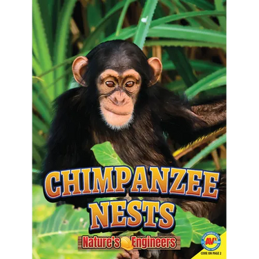 Chimpanzee Nests