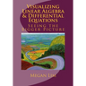 Visualizing Linear Algebra and Differential Equations: The Guide to Seeing the Bigger Picture