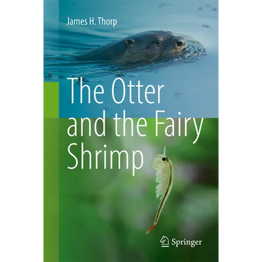The Otter and the Fairy Shrimp