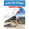 Flash & Friends Activity Book