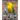 Birds of Costa Rica