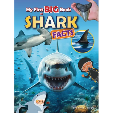 My First Big Book of Shark Facts
