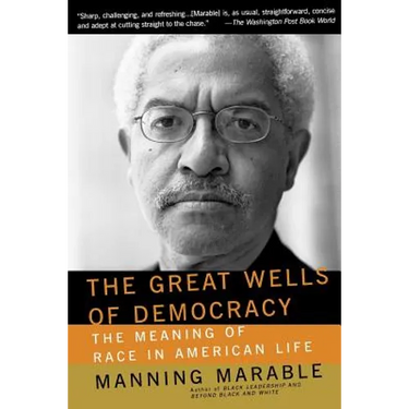 The Great Wells of Democracy: The Meaning of Race in American Life
