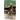 The Abandoned Woman