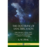 The Doctrine of Sanctification: Discerning real and false notions of Jesus Christ's Holiness