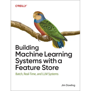 Building Machine Learning Systems with a Feature Store: Batch, Real-Time, and LLM Systems