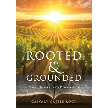 Rooted and Grounded: Going Deeper Into Discipleship