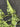 6b221ece-3dab-49f4-87ba-06df138e3ad4-Max