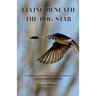 Flying Beneath the Dog Star: Poems from a Pandemic