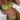 6c3e353d5b844ab586e4fdcea5ef223c-Max