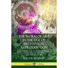 The Work of Art in the Age of Mechanical Reproduction: An Influential Essay of Cultural Criticism; the History and Theory of Art