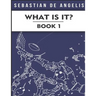 What Is It Book 1: Drawings 1 to 250