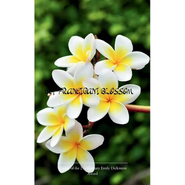 The Frangipani Blossom