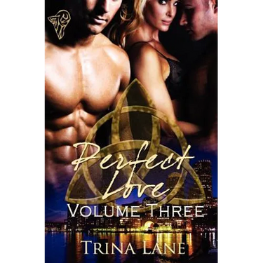 Perfect Love: Vol 3