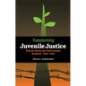 Transforming Juvenile Justice: Reform Ideals and Institutional Realities, 1825-1920