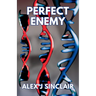 Perfect Enemy