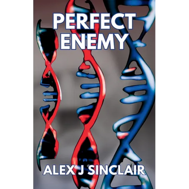 Perfect Enemy